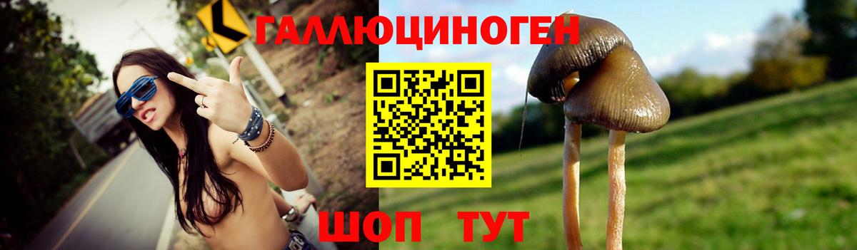 Галлюциногенные грибы Psilocybe Рыбинск